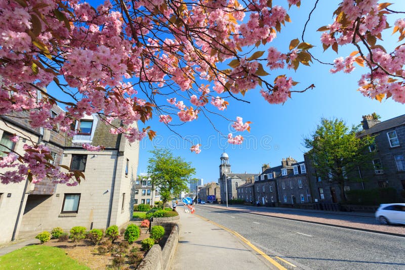 Härliga Sunny Day i den Aberdeen staden med Cherry Blossom royaltyfria foton Härliga Sunny Day i den Aberdeen staden med Cherry Blossom royaltyfria foton