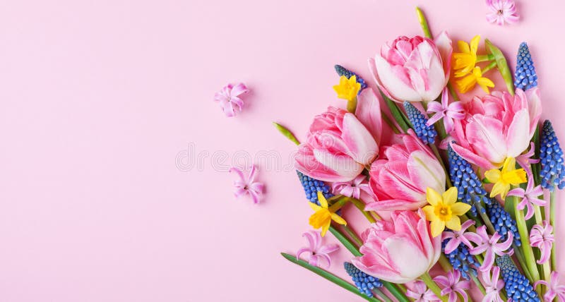 Härliga vårblommor på pastellfärgad rosa bästa sikt för tabell Hälsningkort eller baner för internationell kvinnadag Lekmanna- lä arkivfoton