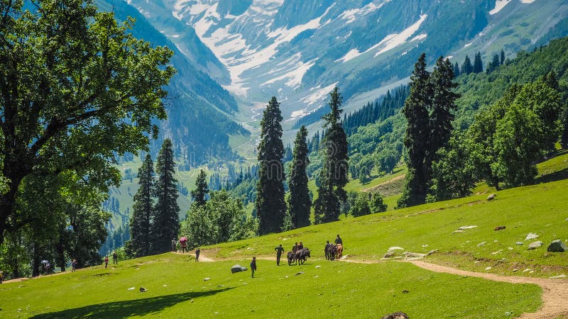 Härligt berglandskap av Sonamarg, Jammu and Kashmir stat