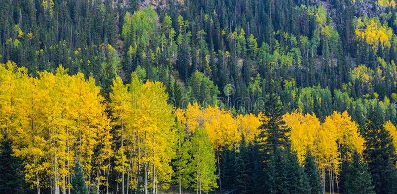 Härligt berglandskap i aspen, Telluride, Colorado arkivbild Härligt berglandskap i aspen, Telluride, Colorado arkivbild