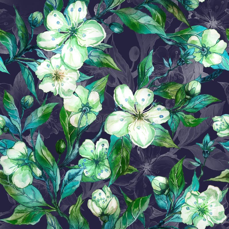 Härligt fruktträdris i blom Vit och gräsplan blommar på mörker - grå bakgrund seamless fjäder för blom- modell vektor illustrationer