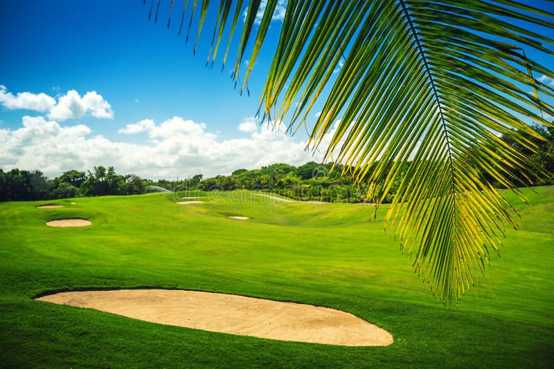 Härligt landskap av en golfdomstol med palmträd i den Punta canen royaltyfri bild Härligt landskap av en golfdomstol med palmträd i den Punta canen royaltyfri bild
