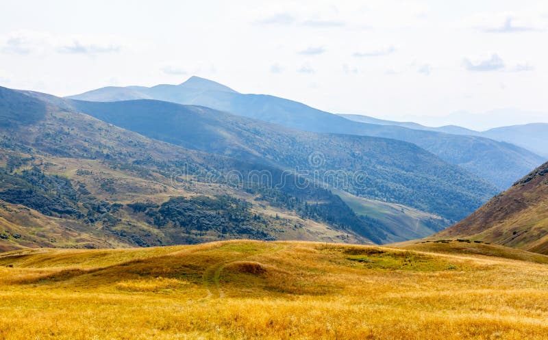 Härligt landskap i Carpathian berg, Ukraina