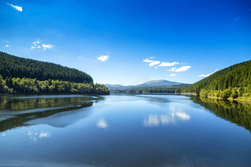 Härligt landskap med bergsjön och gräsplanskogen fotografering för bildbyråer Härligt landskap med bergsjön och gräsplanskogen fotografering för bildbyråer