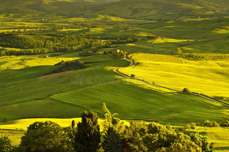 Härligt lantligt landskap av Tuscany italy royaltyfri bild Härligt lantligt landskap av Tuscany italy royaltyfri bild