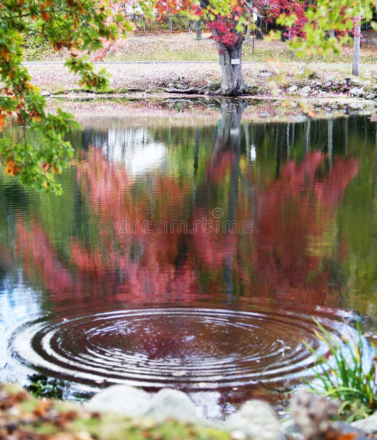 Härligt nedgånglandskap fotografering för bildbyråer
