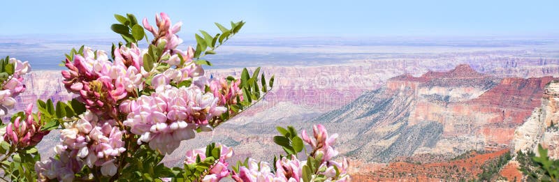 Härligt sommarberglandskap i Arizona fotografering för bildbyråer Härligt sommarberglandskap i Arizona fotografering för bildbyråer