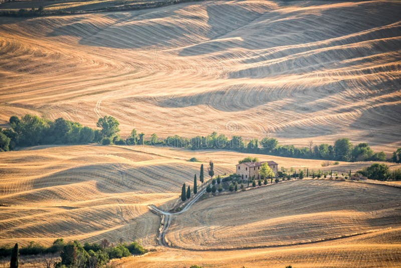 Härligt typisk bygdsommarlandskap i Tuscany Italien royaltyfria bilder