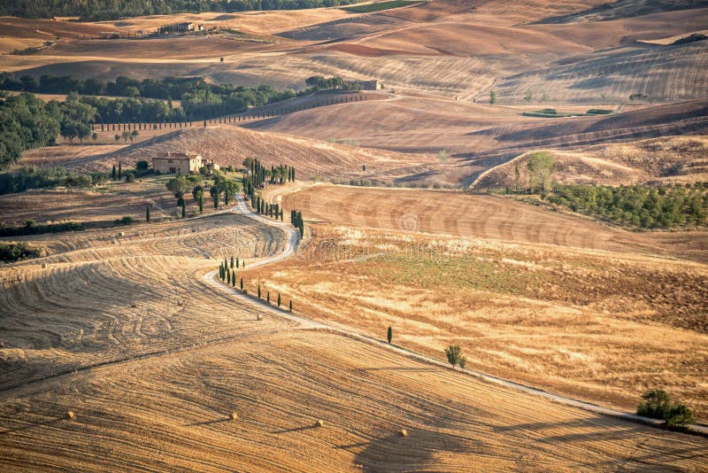 Härligt typisk bygdsommarlandskap i Tuscany Italien royaltyfri bild
