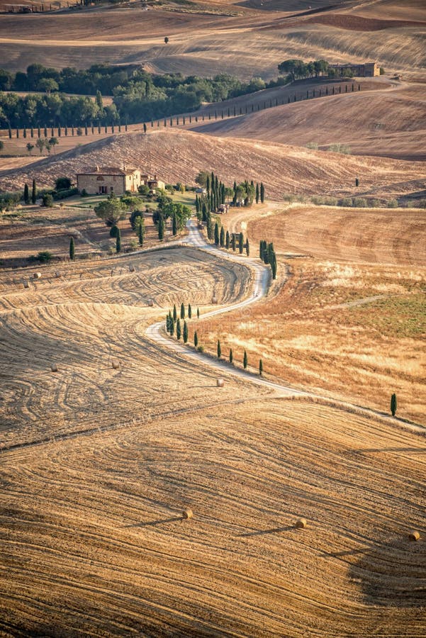 Härligt typisk bygdsommarlandskap i Tuscany Italien royaltyfria foton