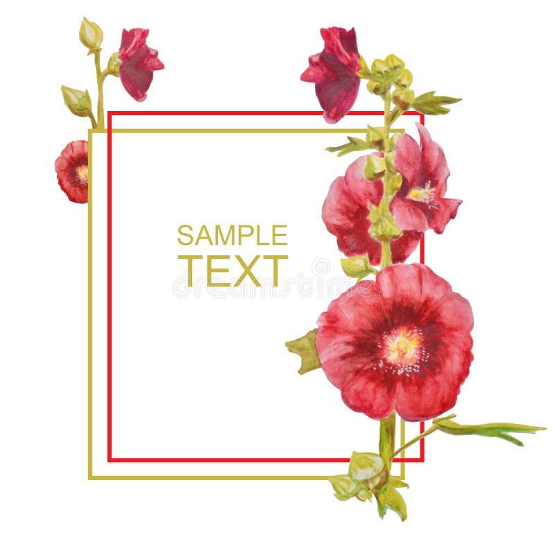 Härligt vattenfärgkort med röda blommor Malvaväxt som isoleras på vit bakgrund royaltyfri illustrationer Härligt vattenfärgkort med röda blommor Malvaväxt som isoleras på vit bakgrund royaltyfri illustrationer