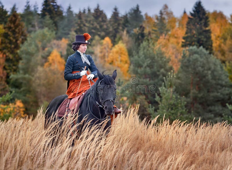 Häst-jakt med ryttare i ridningvana royaltyfri bild Häst-jakt med ryttare i ridningvana royaltyfri bild