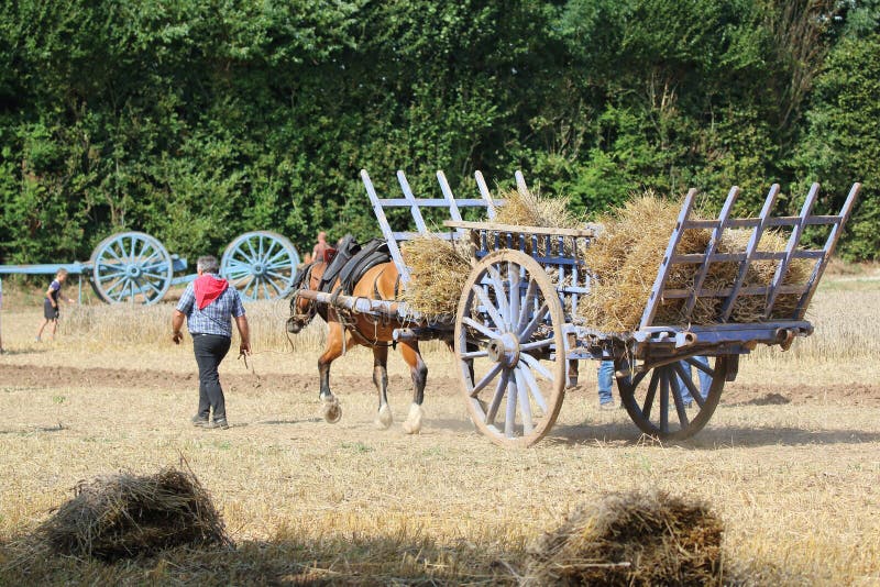 Häst och vagn med sugrör royaltyfri bild Häst och vagn med sugrör royaltyfri bild