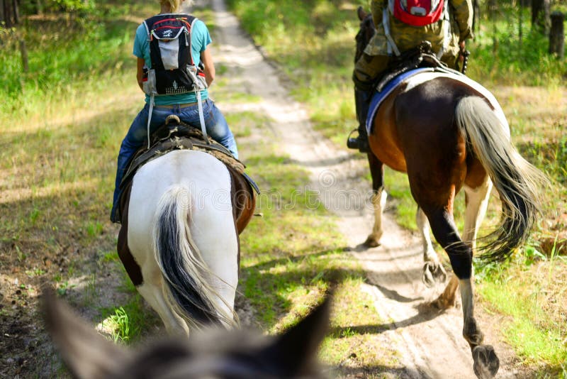 Hästritt längs slingan bland skogar och gräs royaltyfria foton Hästritt längs slingan bland skogar och gräs royaltyfria foton