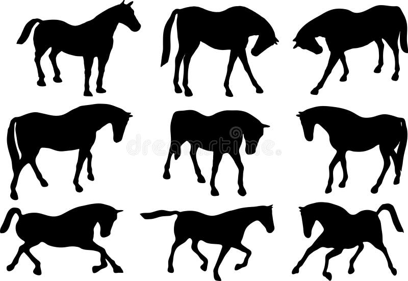 hästsilhouettes vektor illustrationer hästsilhouettes vektor illustrationer