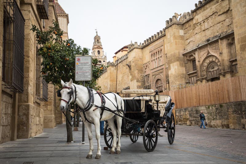 Hästvagn framme av domkyrkan i Cordoba, Spanien fotografering för bildbyråer Hästvagn framme av domkyrkan i Cordoba, Spanien fotografering för bildbyråer