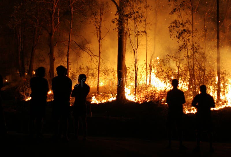 People helplessly watching a bushfire. People helplessly watching a bushfire.