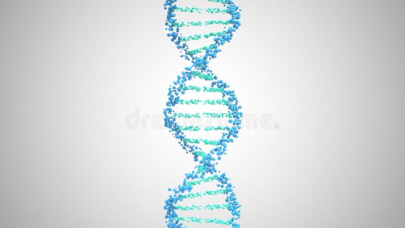 Hélice da molécula de DNA, renderização 3D ilustração royalty free