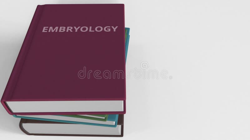 Hög av böcker på embryologi framförande 3d royaltyfri illustrationer Hög av böcker på embryologi framförande 3d royaltyfri illustrationer