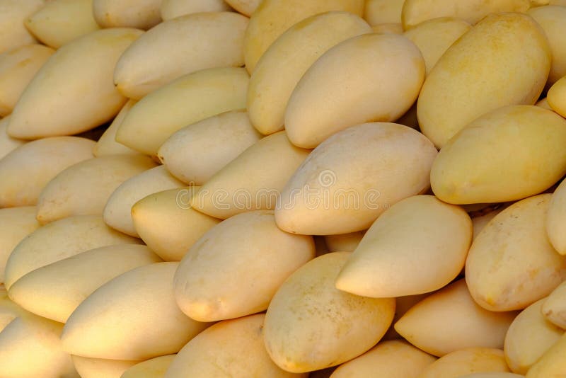 Hög av den gula mango på matmarknad i Thailand arkivbild Hög av den gula mango på matmarknad i Thailand arkivbild