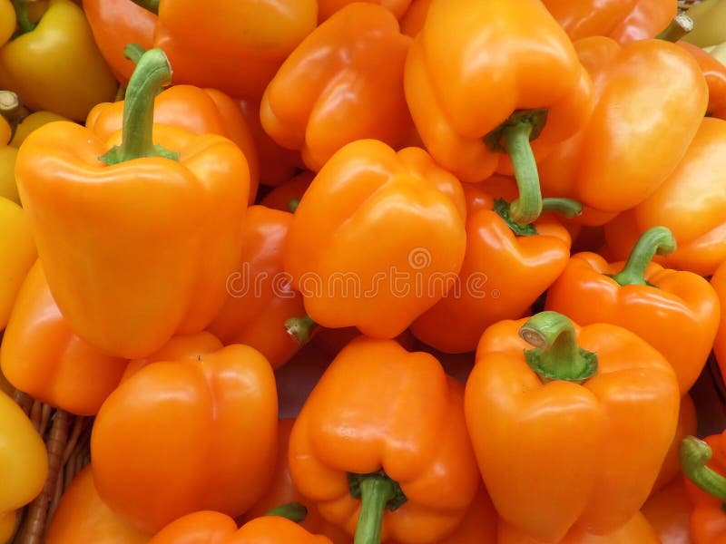 Hög av mogna ljusa orange färgspanska peppar med gröna stammar arkivfoton Hög av mogna ljusa orange färgspanska peppar med gröna stammar arkivfoton