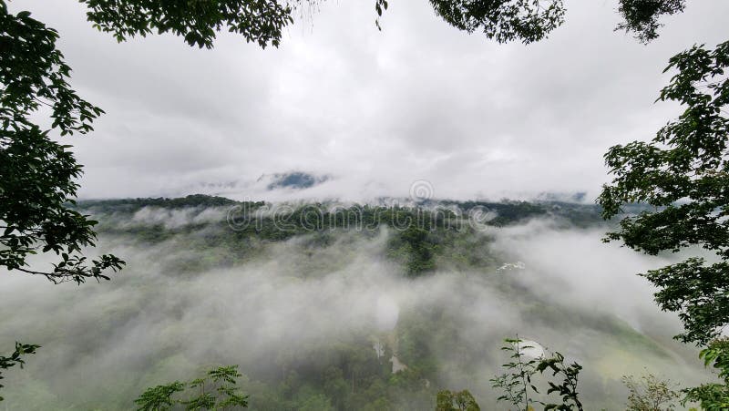 Hög vinkel på foggy scenery in Danum Valley Lahad Datu Sabah royaltyfri foto