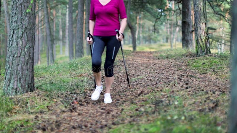 Höga par på skogen skuggar med att gå poler lager videofilmer