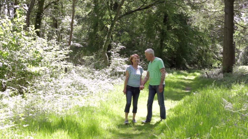 Höga par som tillsammans promenerar sommarskogsmarkbanan arkivfilmer
