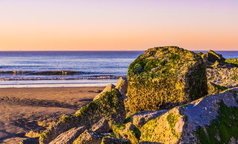 Högen av vaggar täckt i havsogräs, det blåa havet med vågor och färgrik himmel under solnedgång stranden av Blankenberge, Belgien arkivfoto Högen av vaggar täckt i havsogräs, det blåa havet med vågor och färgrik himmel under solnedgång stranden av Blankenberge, Belgien arkivfoto