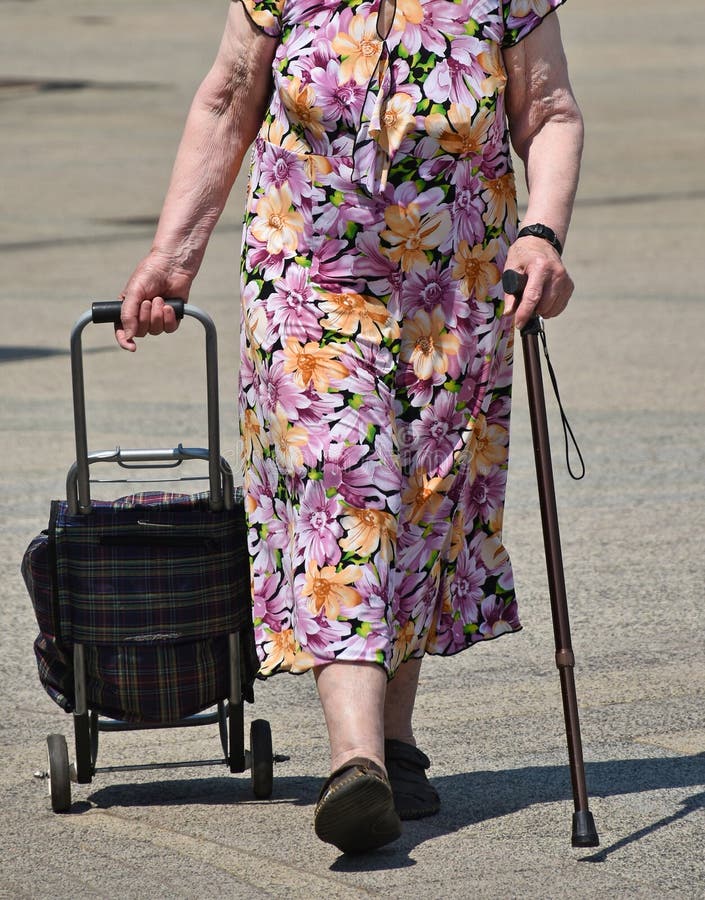 Senior woman with a shopping cart on the street d. Senior woman with a shopping cart on the street d