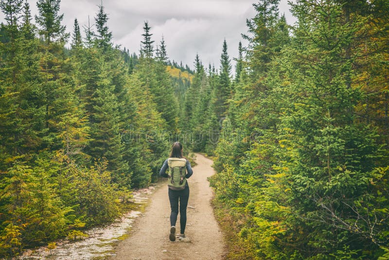 Högre reskvinna som går på en vandringsväg i tallträdens skog. Canadas resäventyr Turiststuga arkivfoton