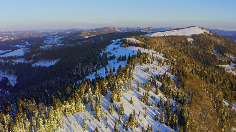 Högsnögiga berg täckt med vintergröna fir-träd på en solig kall dag