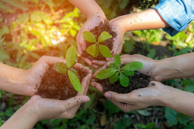 Höhlende Jungpflanze Handleute-Team Work-Familie ernähren Klima und verringern Erde der globalen Erwärmung
