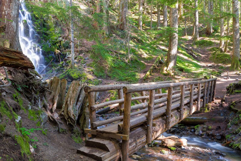 Wooden Foot bridge along hiking trail by Ramona Falls Creek in Mount Hood national Forest Oregon. Wooden Foot bridge along hiking trail by Ramona Falls Creek in Mount Hood national Forest Oregon