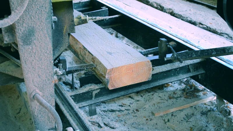 Hölzerne hölzerne Holzbearbeitung des hölzernen Sägemehlarbeit Sawing-Bauholzes