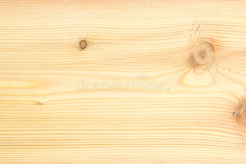 Wood background features, taken in 2010. Wood background features, taken in 2010