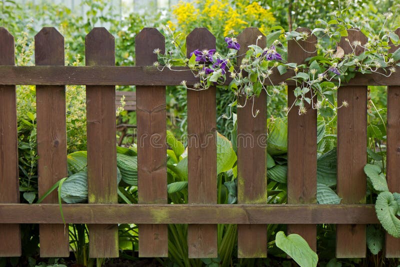 Hölzerner Zaun an einem Garten stockfotos Hölzerner Zaun an einem Garten stockfotos