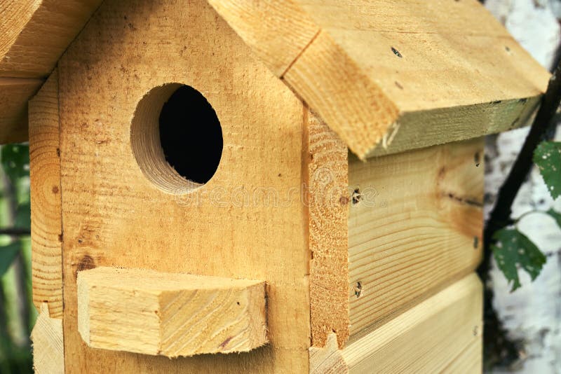 Hölzernes Vogelhaus auf einem Suppengrün im Wald im Sommerabschluß oben stockfotos Hölzernes Vogelhaus auf einem Suppengrün im Wald im Sommerabschluß oben stockfotos