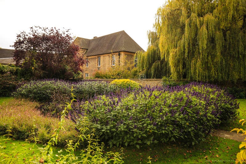 Höst i Oxford royaltyfri fotografi Höst i Oxford royaltyfri fotografi