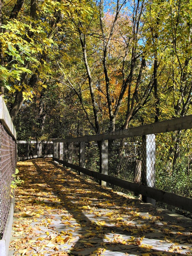 Download Höst michigan arkivfoto. Bild av michigan, färg, barkeeperen - 30090