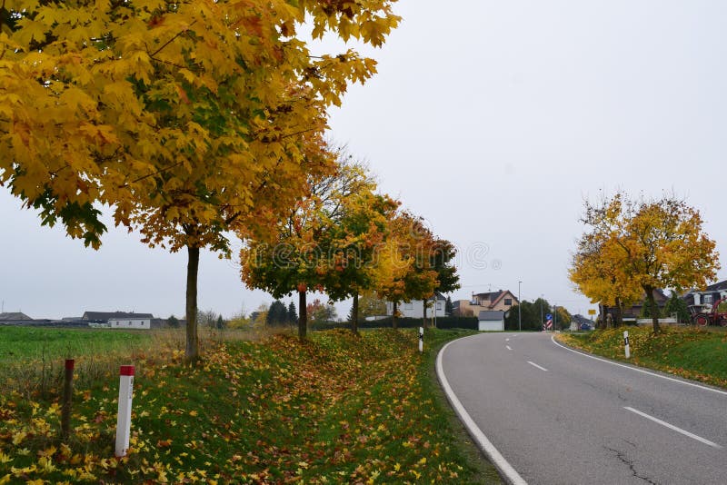 Höstaveny in sandgenheim arkivfoto