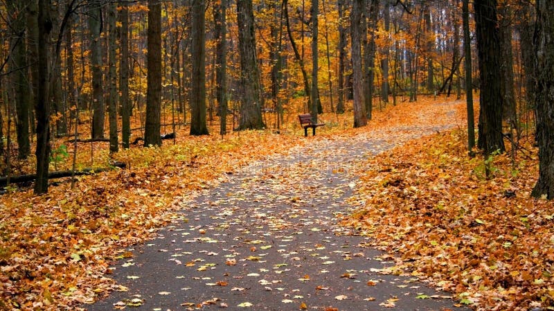 Scenic walk way in a park during autumn time. Scenic walk way in a park during autumn time
