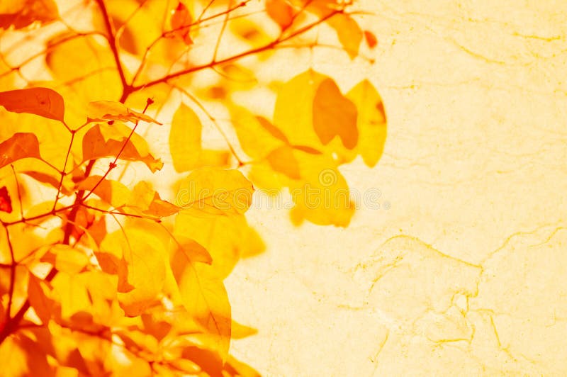 Hösten låter vara yellow fotografering för bildbyråer