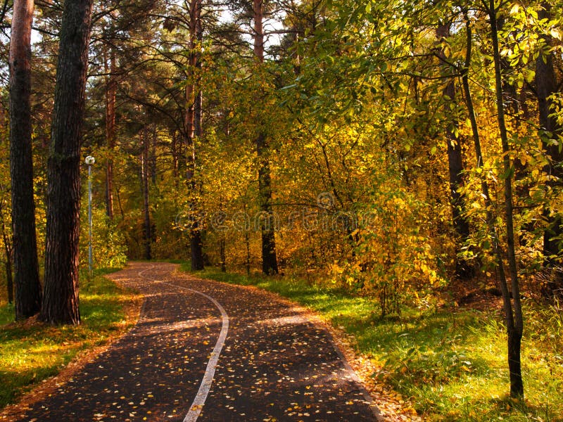 Hösten parkerar, det härliga höstlandskapet för skogen Gränd i parkera royaltyfri fotografi Hösten parkerar, det härliga höstlandskapet för skogen Gränd i parkera royaltyfri fotografi