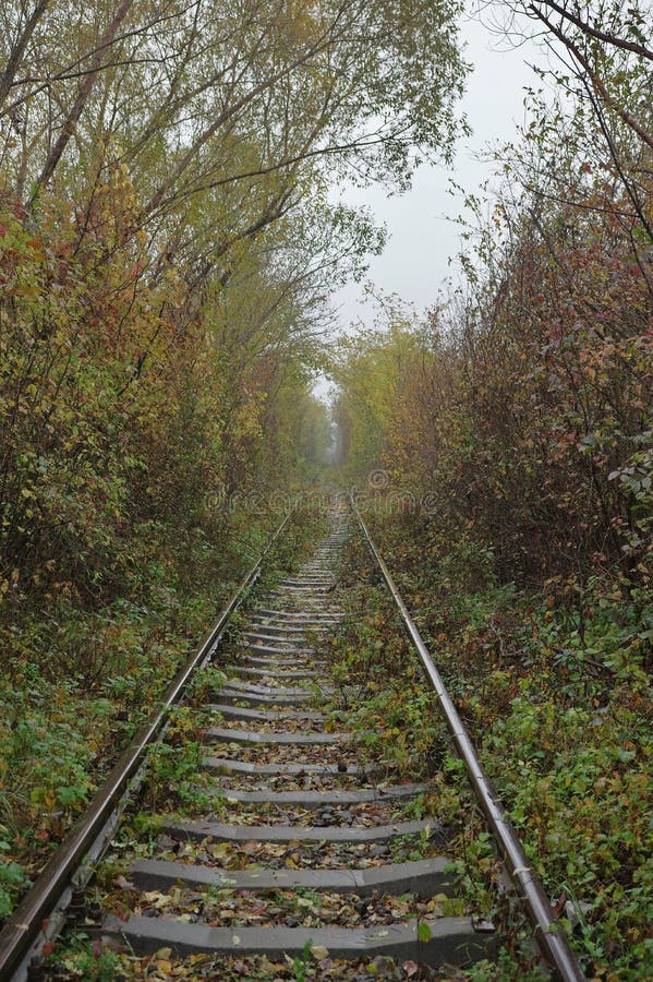 View of a railroad during the autumn season. View of a railroad during the autumn season.