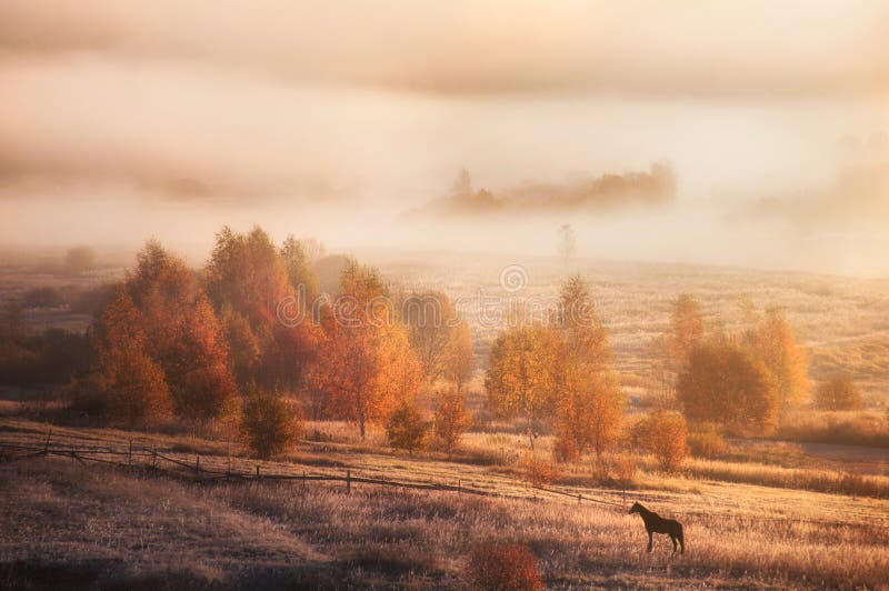 höstliggande russia Morgonnatur royaltyfri bild höstliggande russia Morgonnatur royaltyfri bild