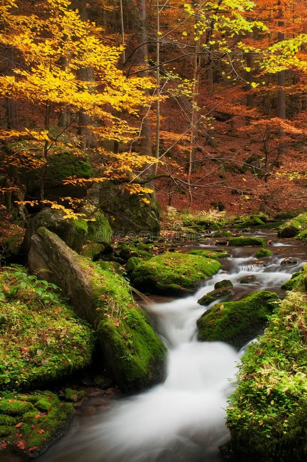 View of beautiful creek during the autumn time. View of beautiful creek during the autumn time.