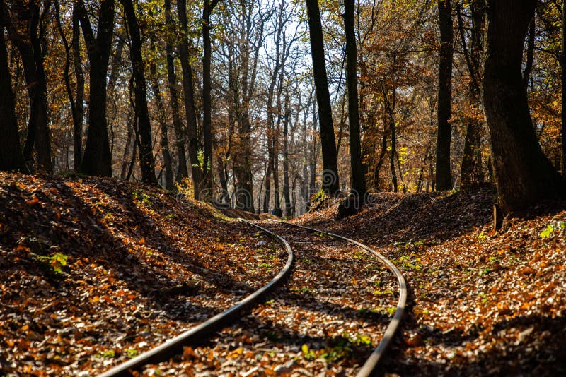 Höstplats med ett drevspår och en skog i bakgrunden fotografering för bildbyråer Höstplats med ett drevspår och en skog i bakgrunden fotografering för bildbyråer