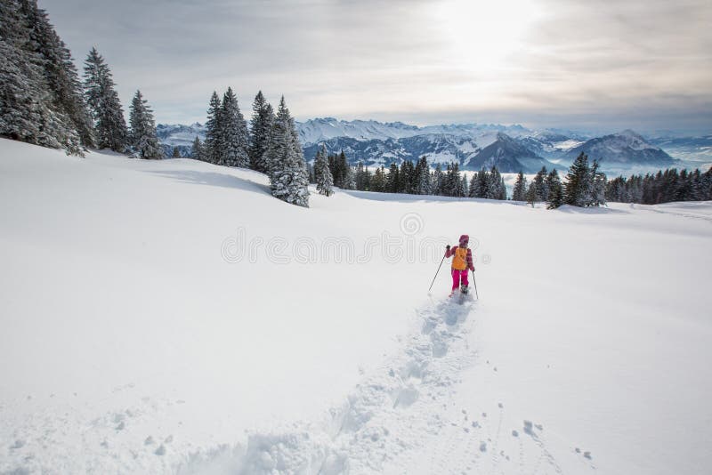 Hübsche, junge Frau, die im Hochgebirge snowshoeing ist lizenzfreies stockfoto Hübsche, junge Frau, die im Hochgebirge snowshoeing ist lizenzfreies stockfoto