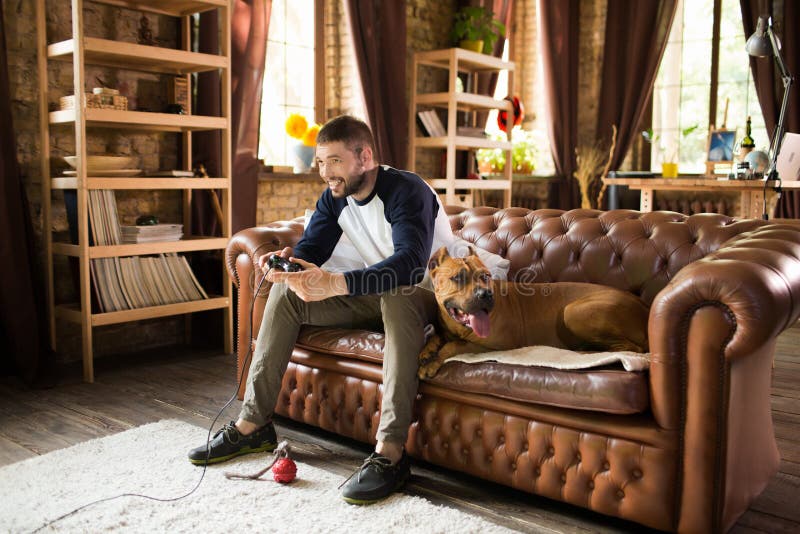 Hübscher Kerl, der auf Sofa mit seinem Hund, Videospiel spielend sitzt